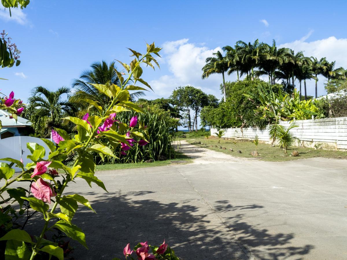 Coco Bungalows Сент-Роз Экстерьер фото